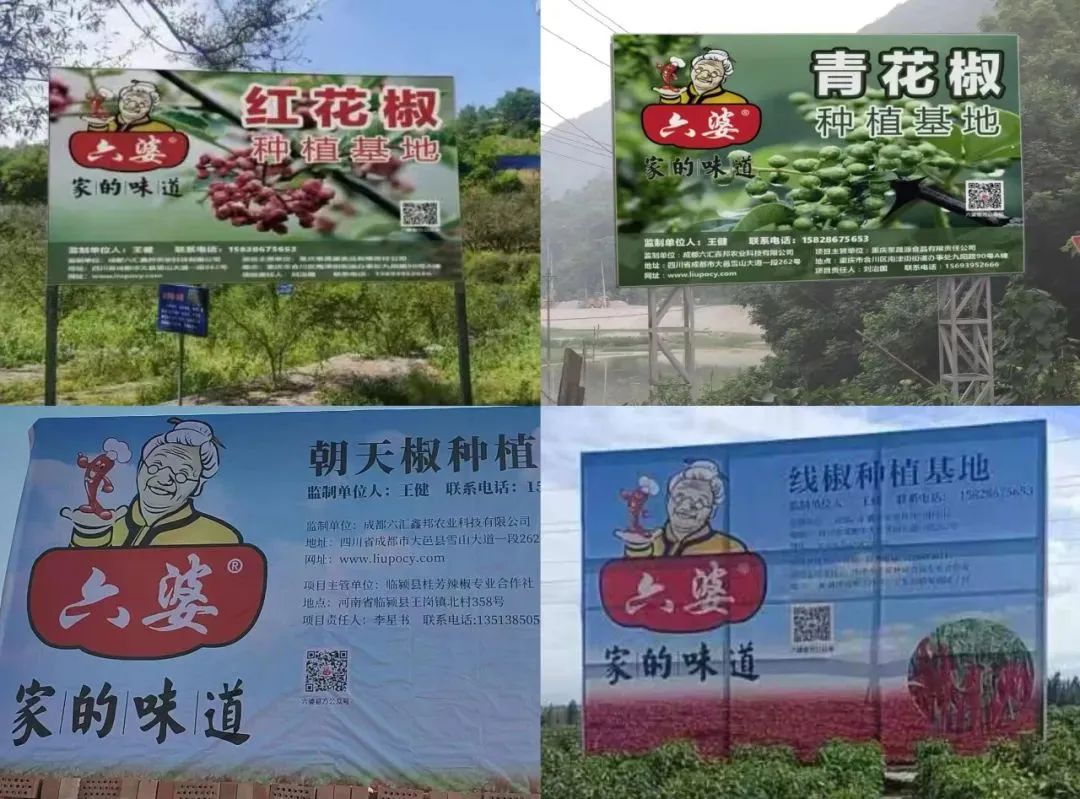 过8亿袋一包辣椒面如何成为万能蘸料冰球突破游戏网站六婆：一年销量超(图3)
