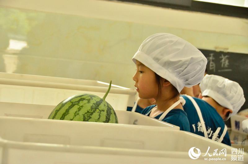 化身“大厨” 为动物制作美食冰球突破成都:14名小学生(图1) 化身“大厨” 为动物制作美食冰球突破成都:14名小学生(图1)