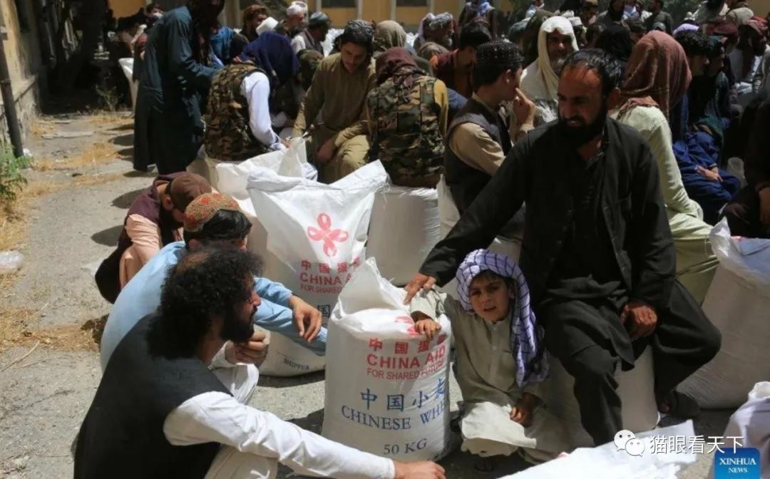 袭叙利亚乌贼们瞬间沉默无语冰球突破正规网站美国再次突(图4)