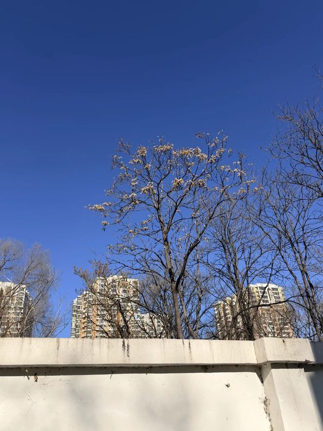 5日游景点路线攻略帮你避坑不踩雷冰球突破北京五天四晚详细规划北京(图3) 5日游景点路线攻略帮你避坑不踩雷冰球突破北京五天四晚详细规划北京(图3)